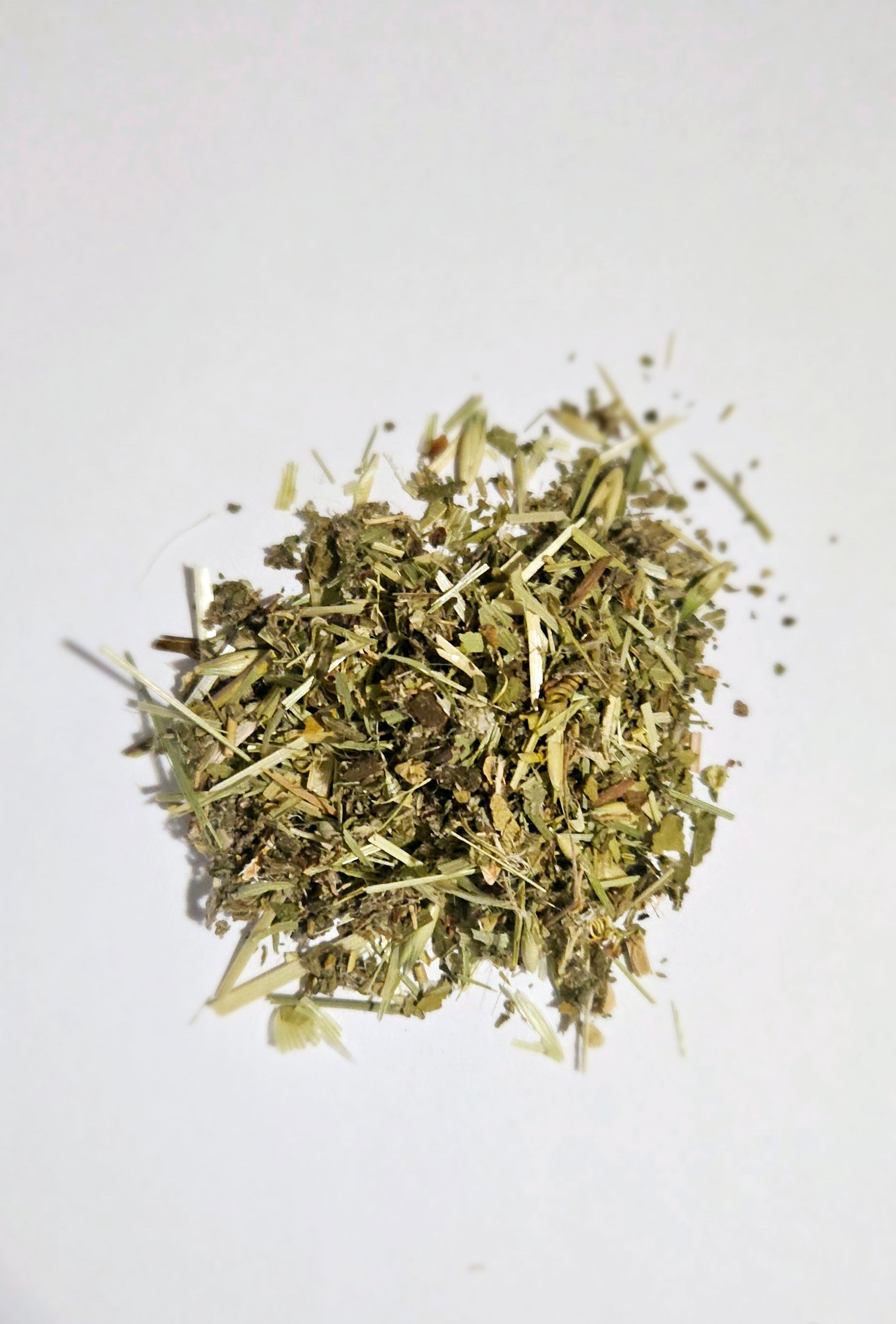 Balance - Blessings Reign