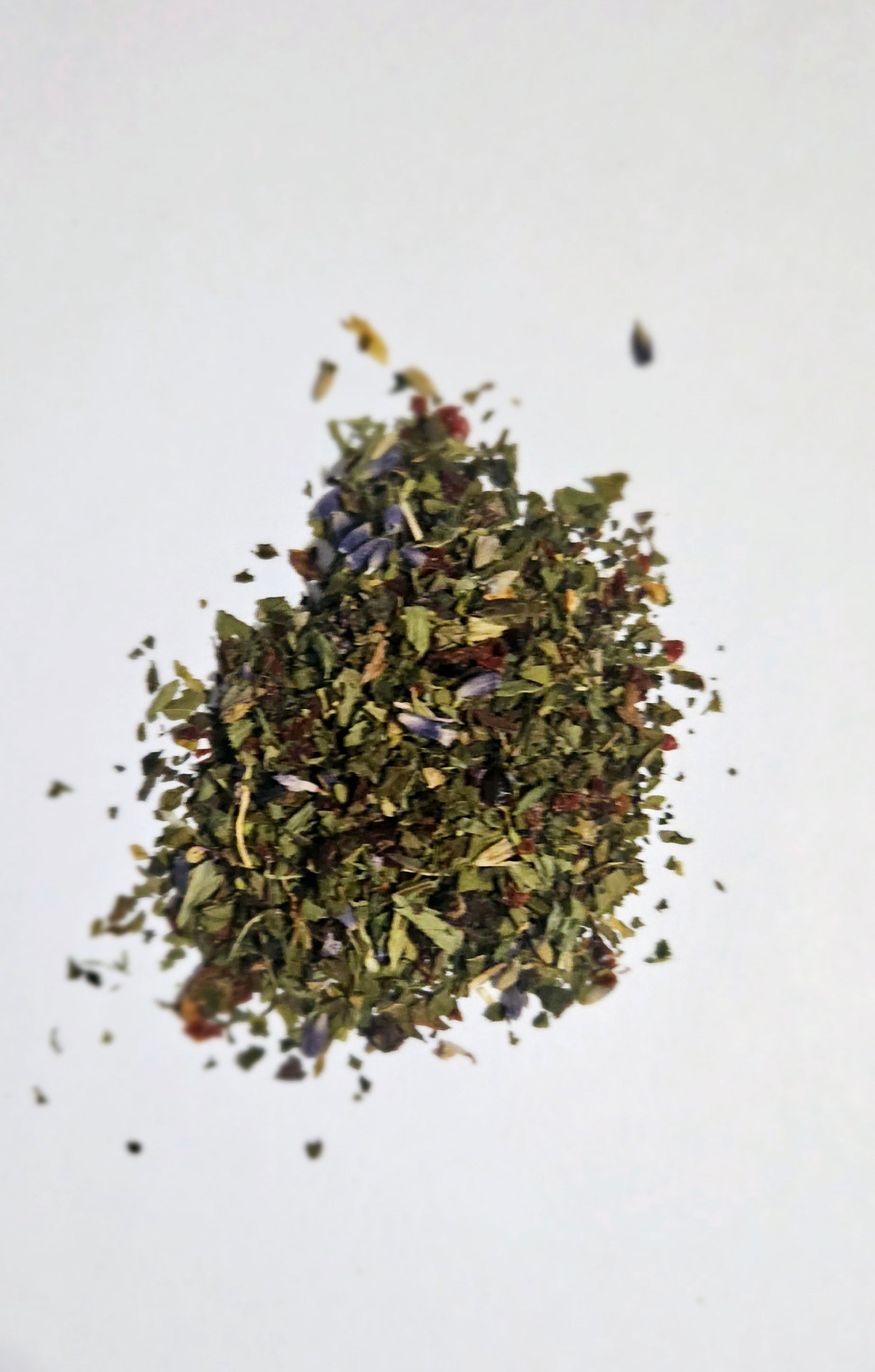 Four Seasons - Blessings Reign